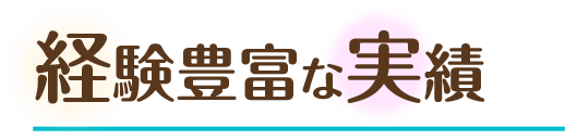 経験豊富な実績